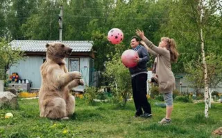 В российской семье 23 года живёт... ласковый медведь Степан
