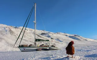 История путешествующего с курицей француза покорила мировые СМИ