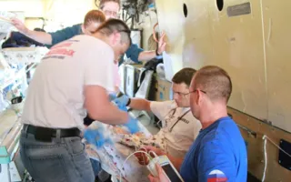 Тяжелобольных малышей из Севастополя доставили в Петербург