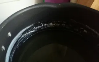 Севастопольцам продают кукурузу с белым налётом