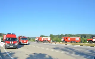 Четыре гектара леса горели под Севастополем
