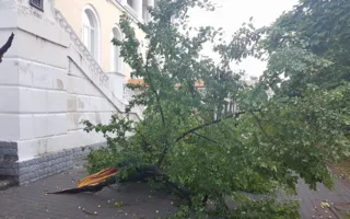 Ураганный ветер и ливень обрушились на Севастополь