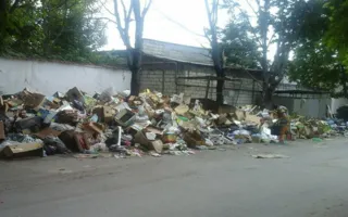 «Горы мусора» у Малахова кургана: запах тухлых яиц и гнилых овощей