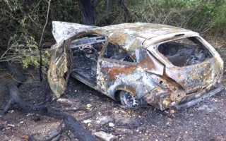  «Опель» сгорел, столкнувшись с деревом под Севастополем