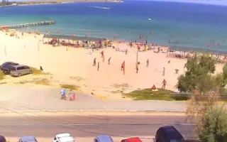Пляжи Крыма похожи на муравейник от количества туристов. Фотофакты