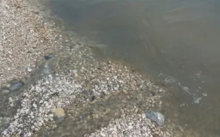 Крымчане и туристы жалуются на вонь на набережной Коктебеля