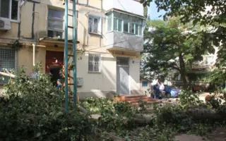 В Крыму дерево рухнуло на жилой дом и повредило газовую трубу