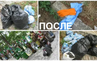Севастопольцы убрали мусор на улице Партизанской