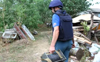 На дачном участке в Севастополе обезврежена авиабомба