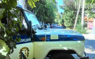 Полиция перехватила воров: те шли на «Чайку», чтобы сдать «добычу»