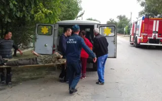 «Волга» «вросла» в дерево: водитель родился в рубашке