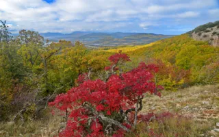 Невероятные краски крымской осени в объективе блогера 