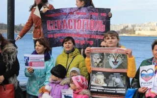 Жители Севастополя вышли на митинг против издевательств над животными