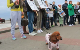 Жители Севастополя вышли на митинг против издевательств над животными