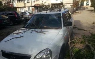 Упавшее дерево в Севастополе повредило автомобиль (фото)
