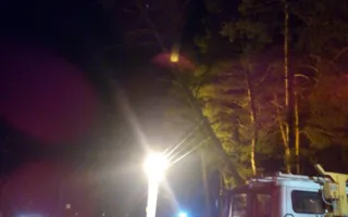 ​В крымских горах на троллейбусную линию упало дерево