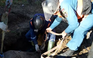 Авиабомбы времён ВОВ обезврежены в Севастополе