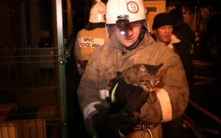 Пожар уничтожил шесть квартир в жилом доме Ялты (фото)