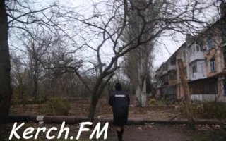 В Крыму найден труп женщины, прикрытый картоном