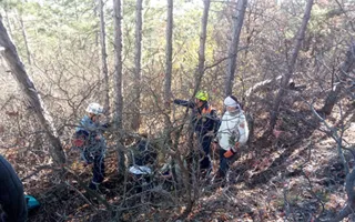 Пожилая крымчанка сломала ногу, собирая грибы в горах