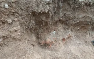 На стройке ТЭС в Севастополе найдено захоронение времён ВОВ