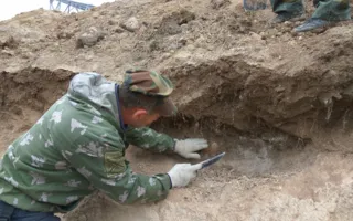 На стройке ТЭС в Севастополе найдено захоронение времён ВОВ