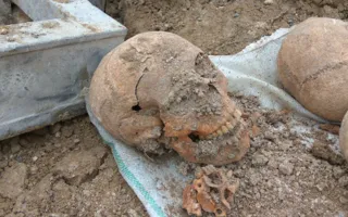 На стройке ТЭС в Севастополе найдено захоронение времён ВОВ