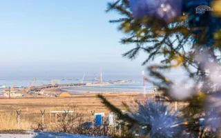 С​троители Керченского моста посадили новогоднюю ель
