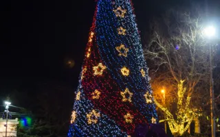 Новогодний Севастополь сверкает праздничной иллюминацией (фото)