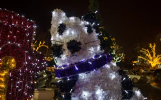 Новогодний Севастополь сверкает праздничной иллюминацией (фото)