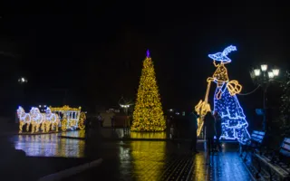 Новогодний Севастополь сверкает праздничной иллюминацией (фото)