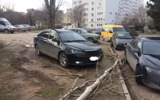 «Аномальная зона» на ПОРе: вчера — лужа, сегодня — тополь на авто (фото)