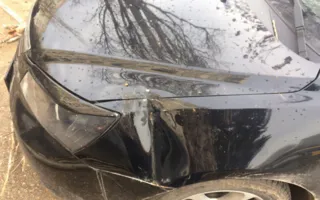 «Аномальная зона» на ПОРе: вчера — лужа, сегодня — тополь на авто (фото)