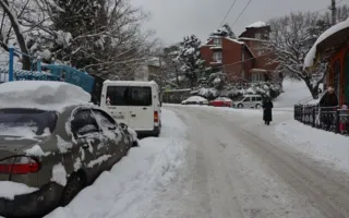 Транспортный коллапс в Ялте: от поездок лучше воздержаться