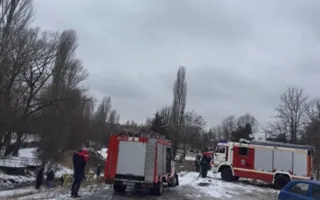 Провалившаяся под бетонную плиту лошадь отделалась царапиной