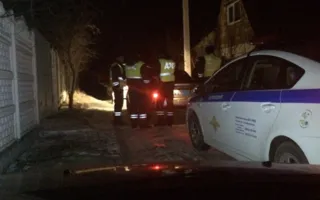В Крыму народный патруль задержал наркоманов с котёнком на поводке (фото)