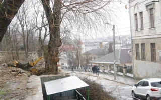 Центр Севастополя «распиливают» под очередную многоэтажку? (фото)