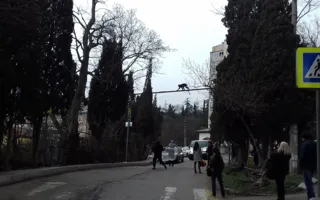 В Ялте ловили сбежавшую обезьяну — фото, видео
