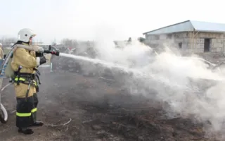 На стоянке в Симферополе сгорело 14 автомобилей (фото)