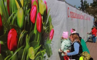 Женщин Севастополя поздравили с 8 Марта 18-метровой открыткой