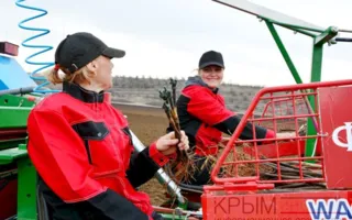В Крыму стартовал многомиллионный проект по выращиванию винограда 