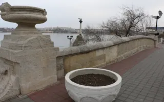 В Севастополе уже разоряют и клумбы с тюльпанами — фото