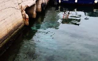Дно моря в центре Севастополя покрыто странными пятнами — фотофакт