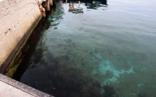 Дно моря в центре Севастополя покрыто странными пятнами — фотофакт