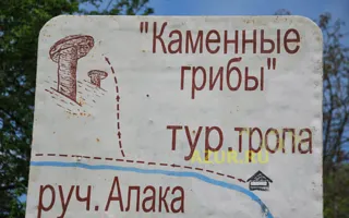 Удивительный Крым: ​Каменные грибы долины Сотера