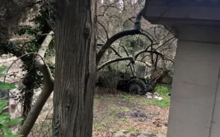Пансионат Белавенцева под Алуштой приводит в ужас