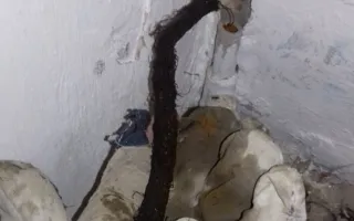 На севере Крыма иссякает пресная вода — людей будут переселять? (фото)