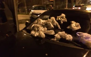 В Севастополе парковка возле баков закончилась «мусорной бомбой» (фото)