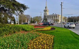 «Тюльпановый взрыв» в Севастополе — в городе расцвели 120 тысяч цветов