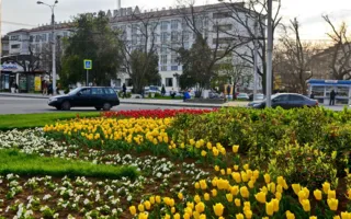 «Тюльпановый взрыв» в Севастополе — в городе расцвели 120 тысяч цветов